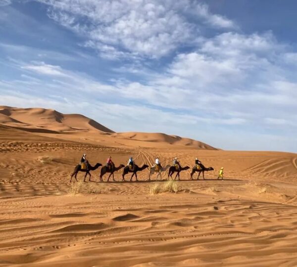 Camel Trekking Merzouga