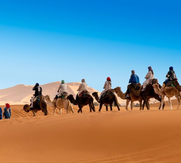 Camel Trekking Merzouga