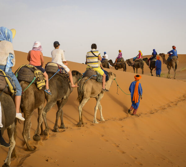 Camel Trekking Merzouga